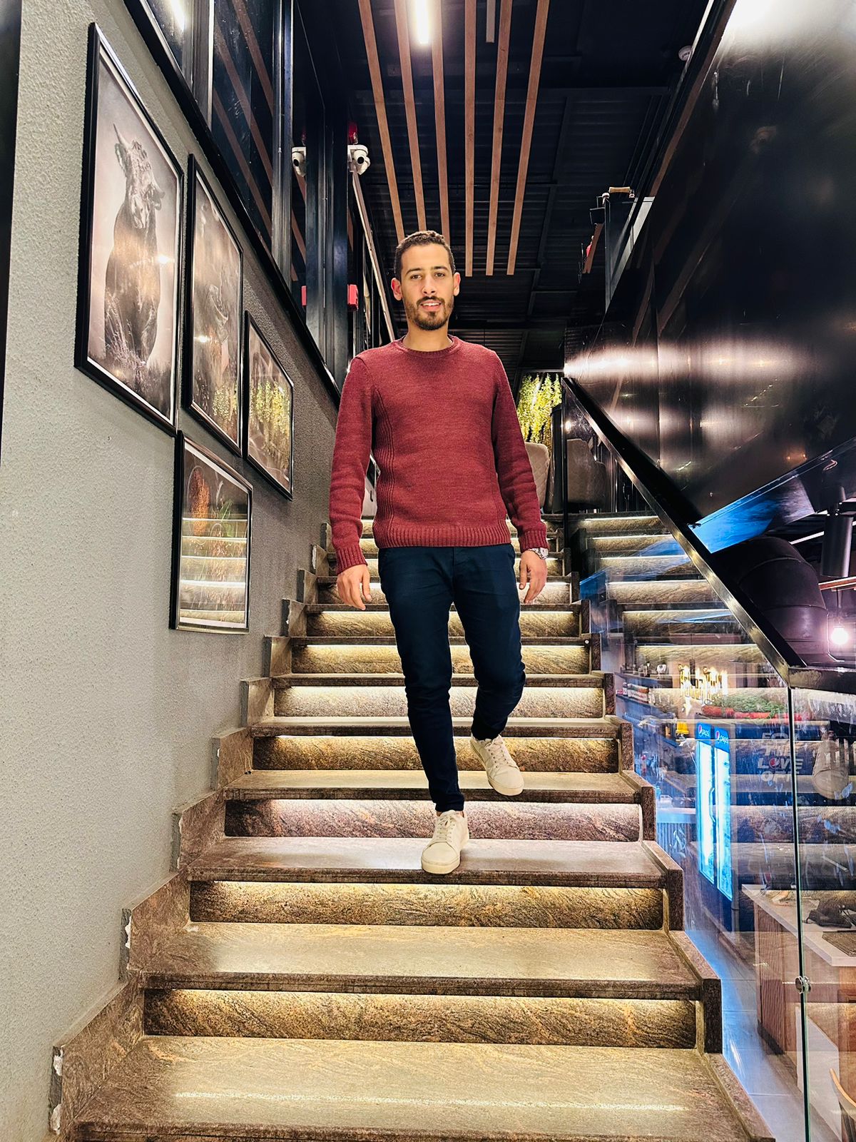 د.محمد السروجي